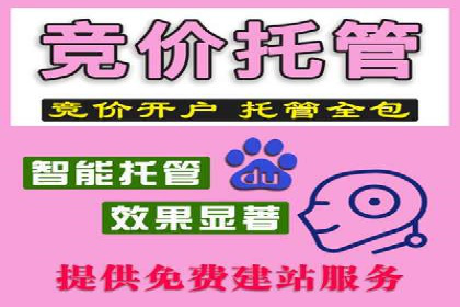 实战解析：SEM代运营成功案例分享